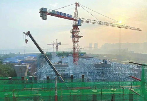 將軍路大橋 西河南路 南充這些建設(shè)工程最新進度來了