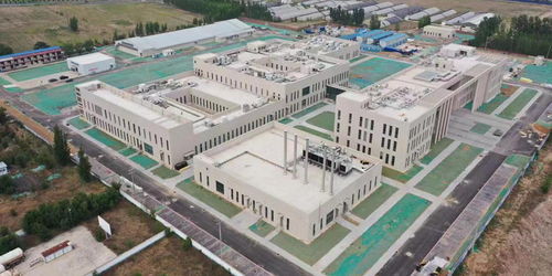 天蓬工程 收尾 世界首個大型實驗豬設(shè)施能做什么